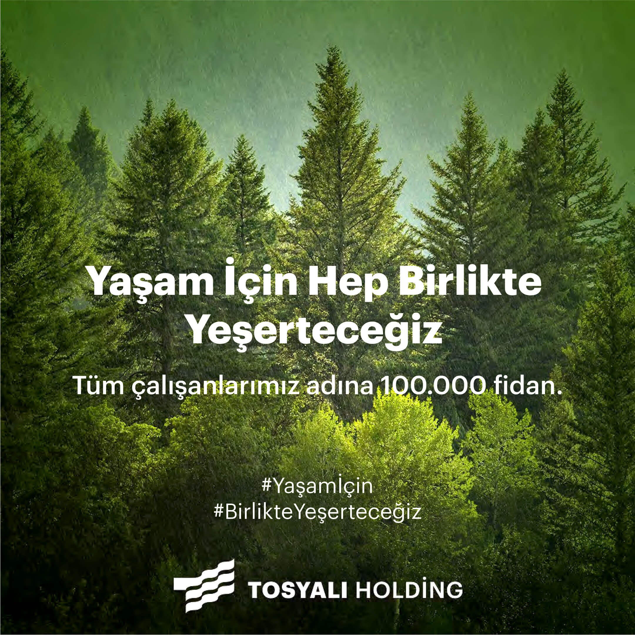 TOSYALI HOLDİNG 100.000 FİDAN DİKİYOR!